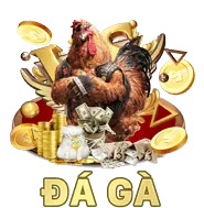 Đối tác đại lý